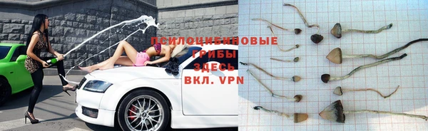 мет Алексин