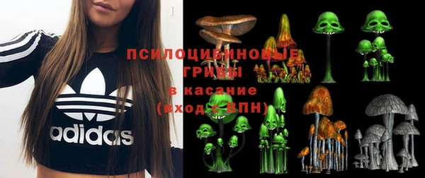 мет Алексин