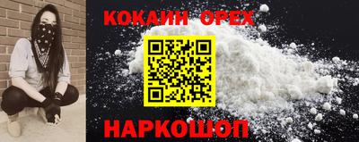 шишки Обь