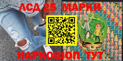 шишки Обь