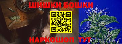 шишки Обь