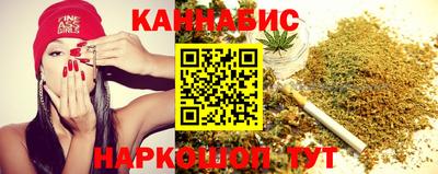 шишки Обь
