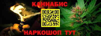 шишки Обь
