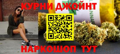 молекула духа Новозыбков
